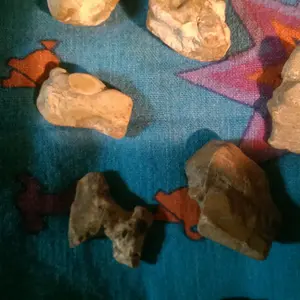 IMAG2597
