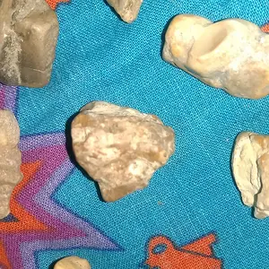 IMAG2594