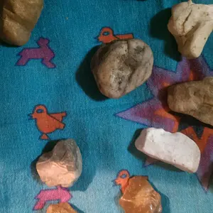 IMAG2592