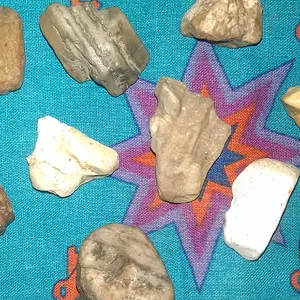 IMAG2591
