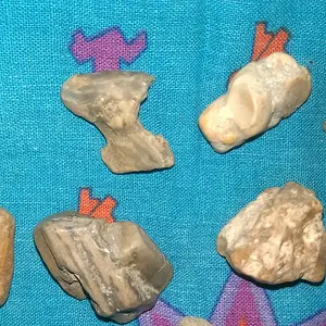 IMAG2590