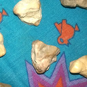 IMAG2602