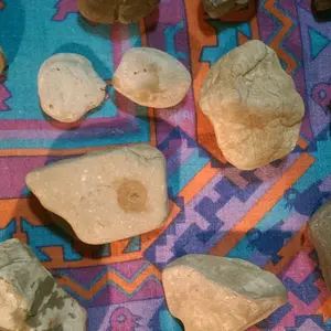IMAG2609