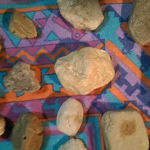 IMAG2612