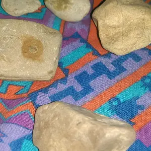IMAG2615