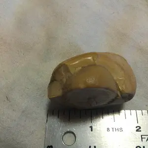 IMAG6805
