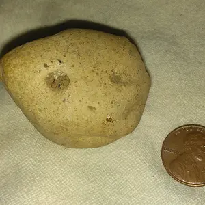 IMAG6809