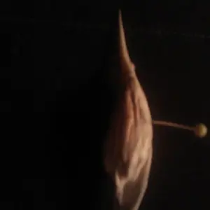 WP 003085
