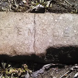 Temple brick