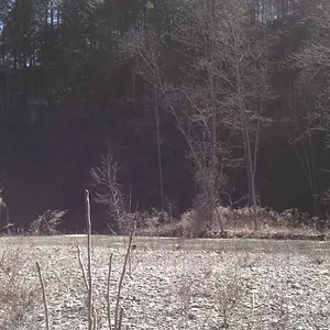 Mini beach in the woods, with a ginormous cliff opposite the creek.