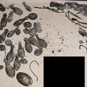 DSC00001