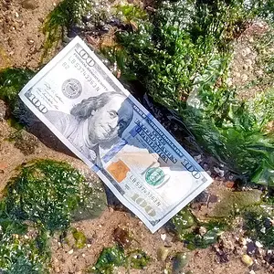 $100 bill just found on the ground.