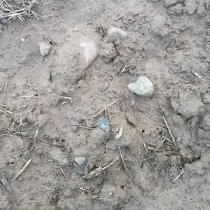 1493853631689