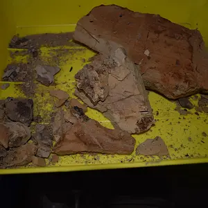 DSC 0008