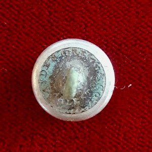 Cuff-sized South Carolina militia button.  "Hayden Gregg & Co/Charleston" back mark (1838-1843)