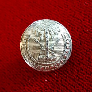 Cuff-sized South Carolina militia button.  "Hayden Gregg & Co/Charleston" back mark (1838-1843)