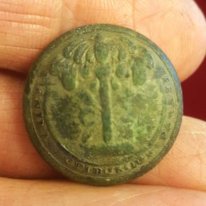 Coat-sized SC militia button-"Schuyler H&G/New York" back mark (1850s)