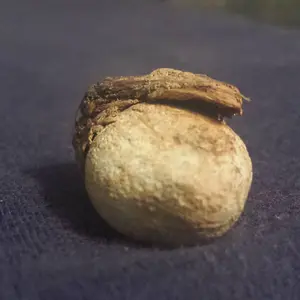 20160816 161724