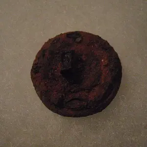 P7250770