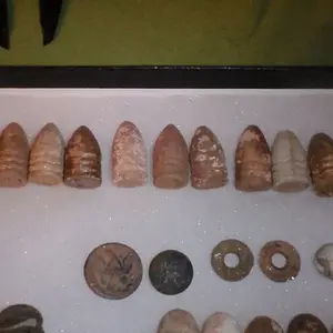 todays finds 2