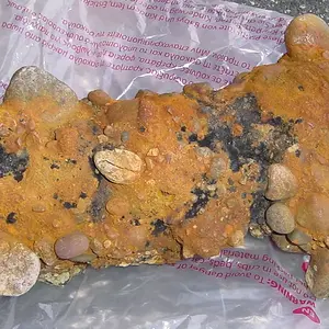CAPE - LARGE CONCRETION