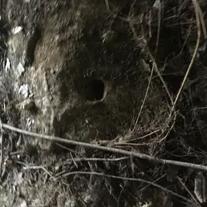 IMG 5358