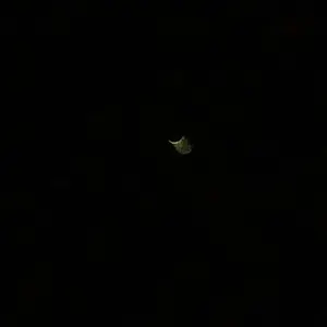 92% eclipse