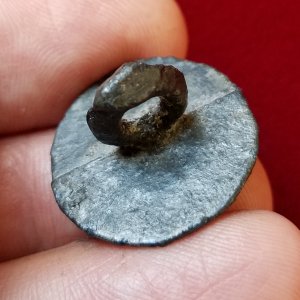 Pewter coat button dug from a creek