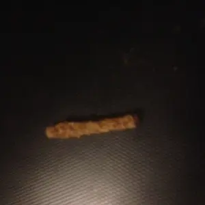 A rusty screw?