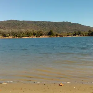 TNRivera