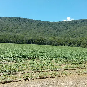 BullockPoint