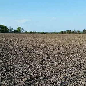 20160522 075700 resized crop