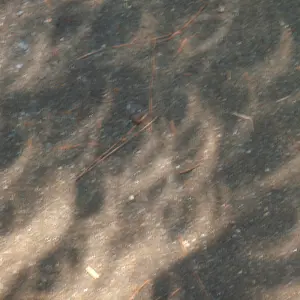 P8210283