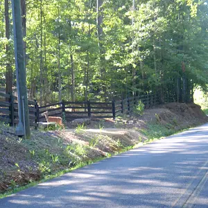 P8240286