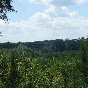 P8170276