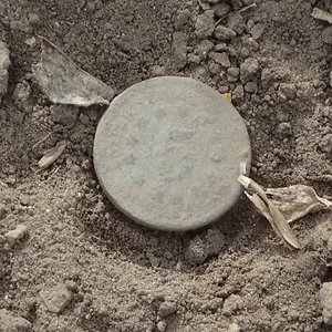 Shield Nickel Sunday 006