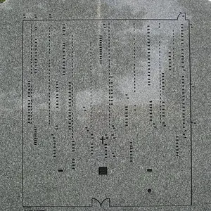 IMG 0110