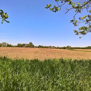 WP 20170603 14 09 32 Pro (2)