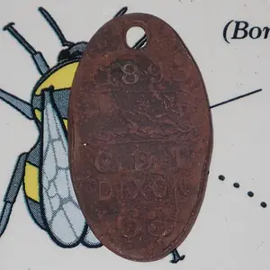 1895 Dog Licence Dixon 007