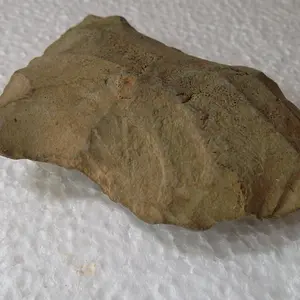 SAM 0960