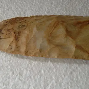 SAM 0957