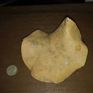 IMG 20180210 112051330