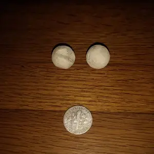 IMG 20180224 181539136