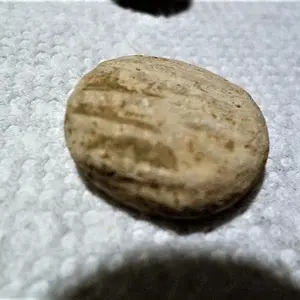 SAM 1301