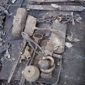 22728731 10215506115505691 1855034801771078784 n