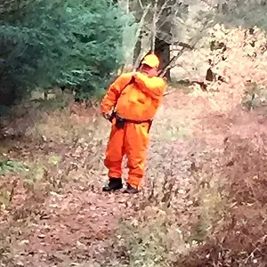 The great pumpkin