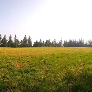 WP 20180701 09 06 31 Panorama