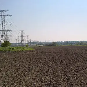 WP 20180527 09 47 40 Pro crop