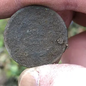 1841 Large Cent