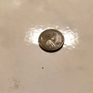 20190318 190335